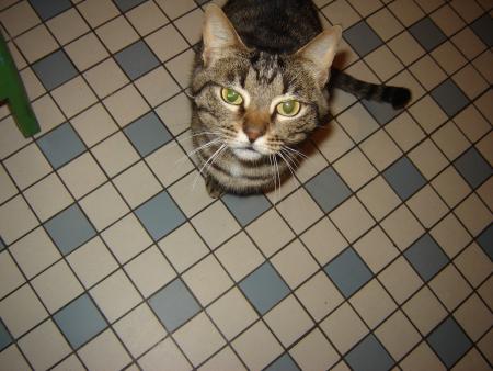 minette