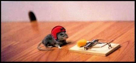 apération fromage!