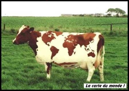cartte du monde!